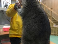 -藦茜花园宠物主题亲子互动体验馆(国顺东路店)
