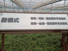 -上膳源有机农场