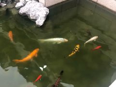 -祝家花園(伯渎港店)
