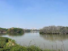 -海珠湖公园