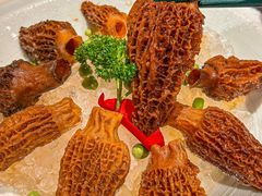 -芸山季·云南野生菌火锅(宝能环球汇店)