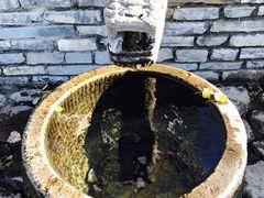 -百花人家(清水田园店)