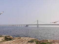 -棒棰岛宾馆景区