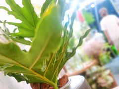 -花二家·生活馆(六运小区店)