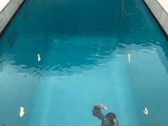 -金泽21世纪美术馆