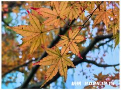 -杭州钱江新城万怡酒店-西餐厅