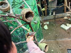 -Zoolung Zoolung动物主题公园(海信广场店)