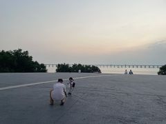 -宝安西湾红树林湿地公园