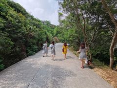 -广东惠东海龟国家级自然保护区