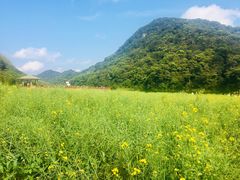 -广州市石门国家森林公园