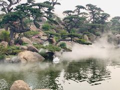 -罗红摄影艺术馆