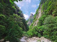 -青峰峡国家森林公园