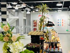 -极限PLAY运动娱乐新世界·团建派对潮玩休闲馆·室内蹦极高空游乐园