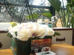 -桉树林A coffee 森林餐厅(三圣乡店)