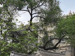 -张学良旧居陈列馆