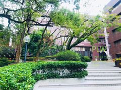 -香港大学