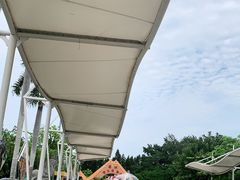 -深圳野生动物园