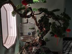 餐具摆设-俏江南·花园戏曲餐厅(881店)