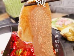 -蜀大侠火锅(森兰花园城店)