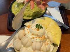 -东莞植物园