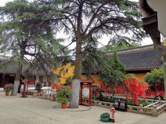 -灵岩山风景区