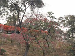 -桃花涧