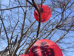 -巡塘古镇