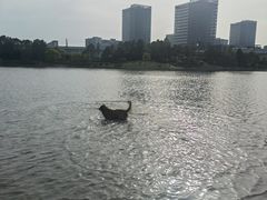 -美兰湖景区