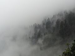 -东天目山风景区