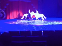 -珠海横琴长隆《卡卡虎奇遇记》