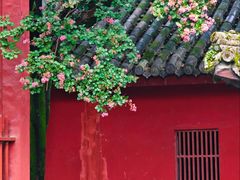 -报恩寺(平武县)