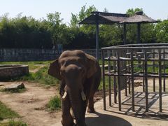 -西安秦岭野生动物园