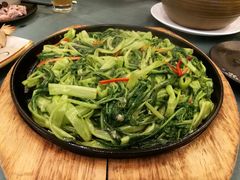-沙龙酒家