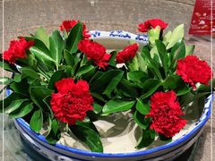 -同里湖大饭店-怡景轩中餐厅(同里古镇店)