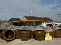 -苏州市吴中区光福窑上花果蜜饯厂