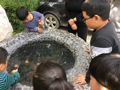 -金孔雀温泉旅游度假村