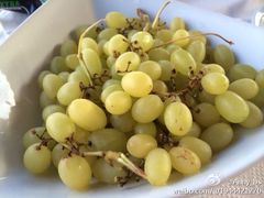 餐饮设施-皮尔戈斯