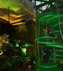 -恐龙探索乐园(磁器口店)