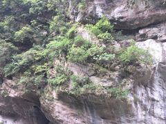 -太鲁阁公园