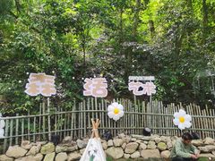 -北仑森林植物园