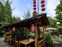 -青城甲(青城山店)