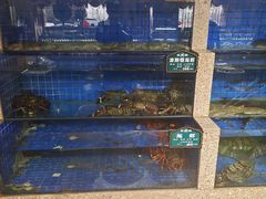 水产区-皇朝海鲜酒店