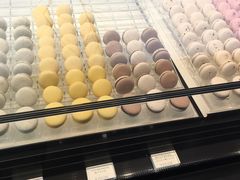 -BLACKSWAN黑天鹅(环球店)