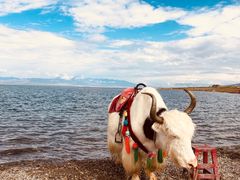 -青海湖国家重点风景名胜区