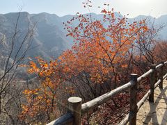 -周口店坡峰岭风景区