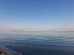 -大湾区中央湿地公园