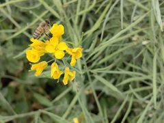 -中国天府农业博览园