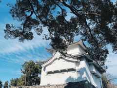 -名古屋城