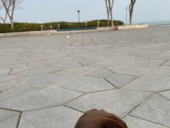 -贡湖湾湿地公园