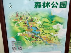 -广州白江湖森林公园